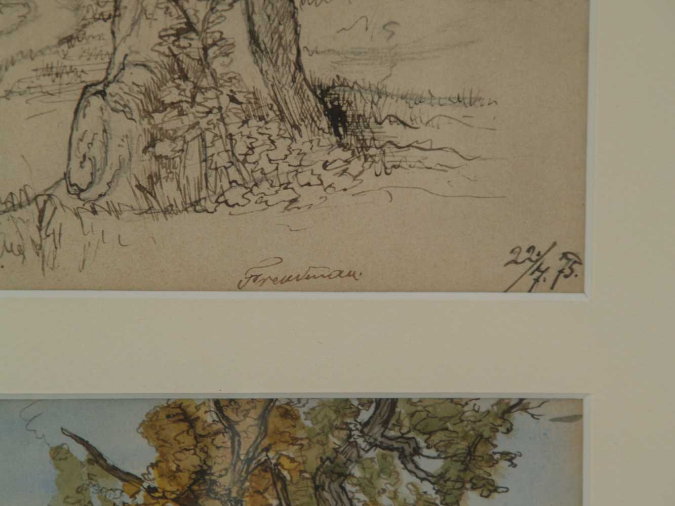 Freudmann u.a. - Vier Baumstudien,div.Techniken auf Papier:Feder,Bleistift,Aquarell,signiert ,2x - Image 4 of 5