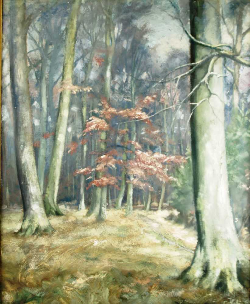 Helmig,Carl(1912-1990 Essens)- Waldlandschaft im Taunus,Öl auf Leinwand,rechts unten signiert,ca. - Image 2 of 4