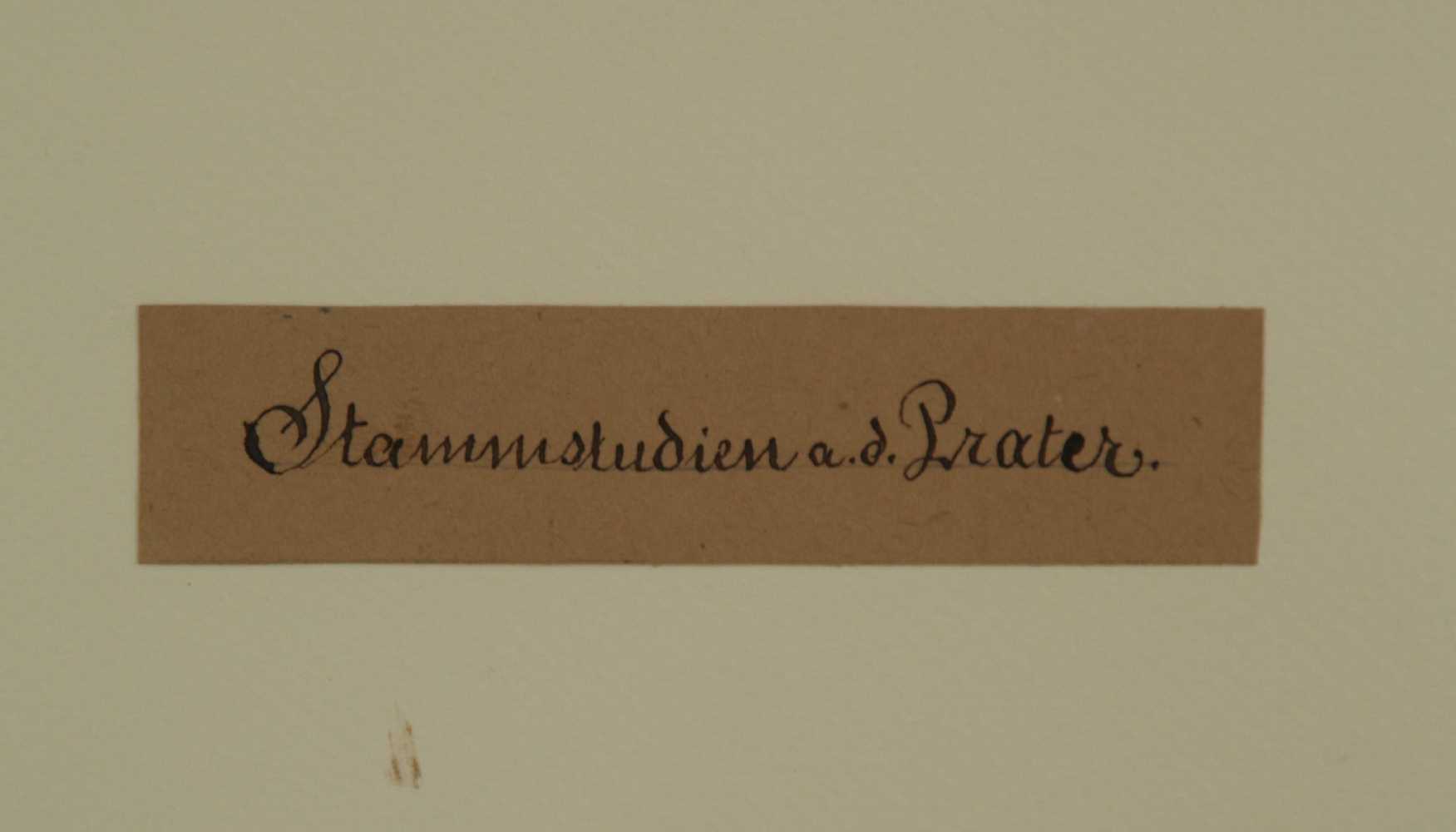 Freudmann u.a. - Vier Baumstudien,div.Techniken auf Papier:Feder,Bleistift,Aquarell,signiert ,2x - Image 5 of 5