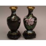 Paar Cloisonné-Vasen - China,Dekor mit blühenden Chrysanthemen,Baumzweigen und Schmetterlingen auf