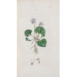 Abbot (Charles) - Flora Bedfordiens,  first edition ,  6 hand-coloured engraved plates, 3 after