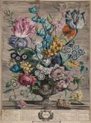 Furber (Robert) - Twelve Months of Flowers: February, April, May and June,  4 from the set of 12,