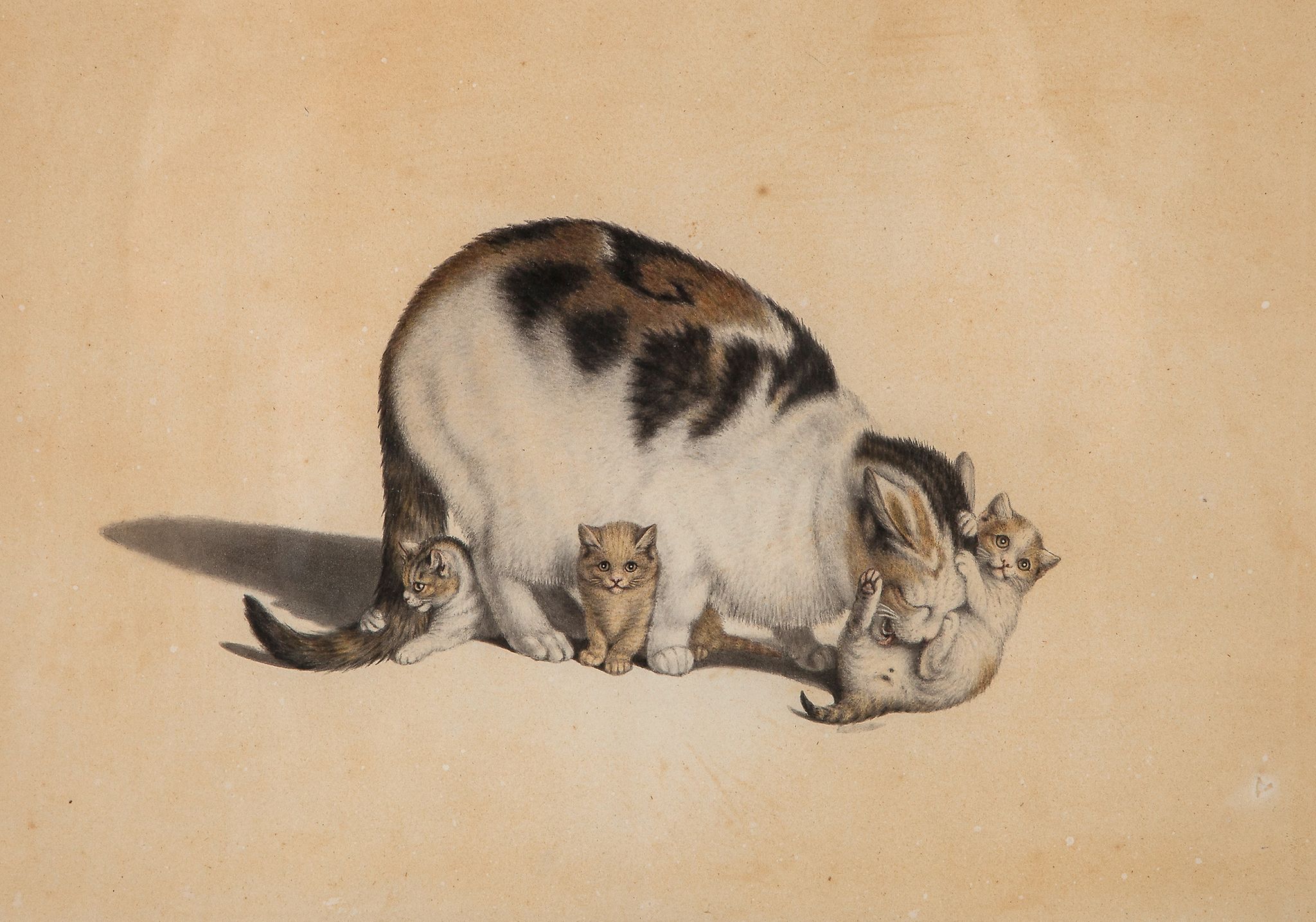 Mind (Gottfried, 1768-1814) - Cat with three kittens   watercolour, on wove paper, 240 x 340 mm.,