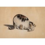 Mind (Gottfried, 1768-1814) - Cat with three kittens   watercolour, on wove paper, 240 x 340 mm.,