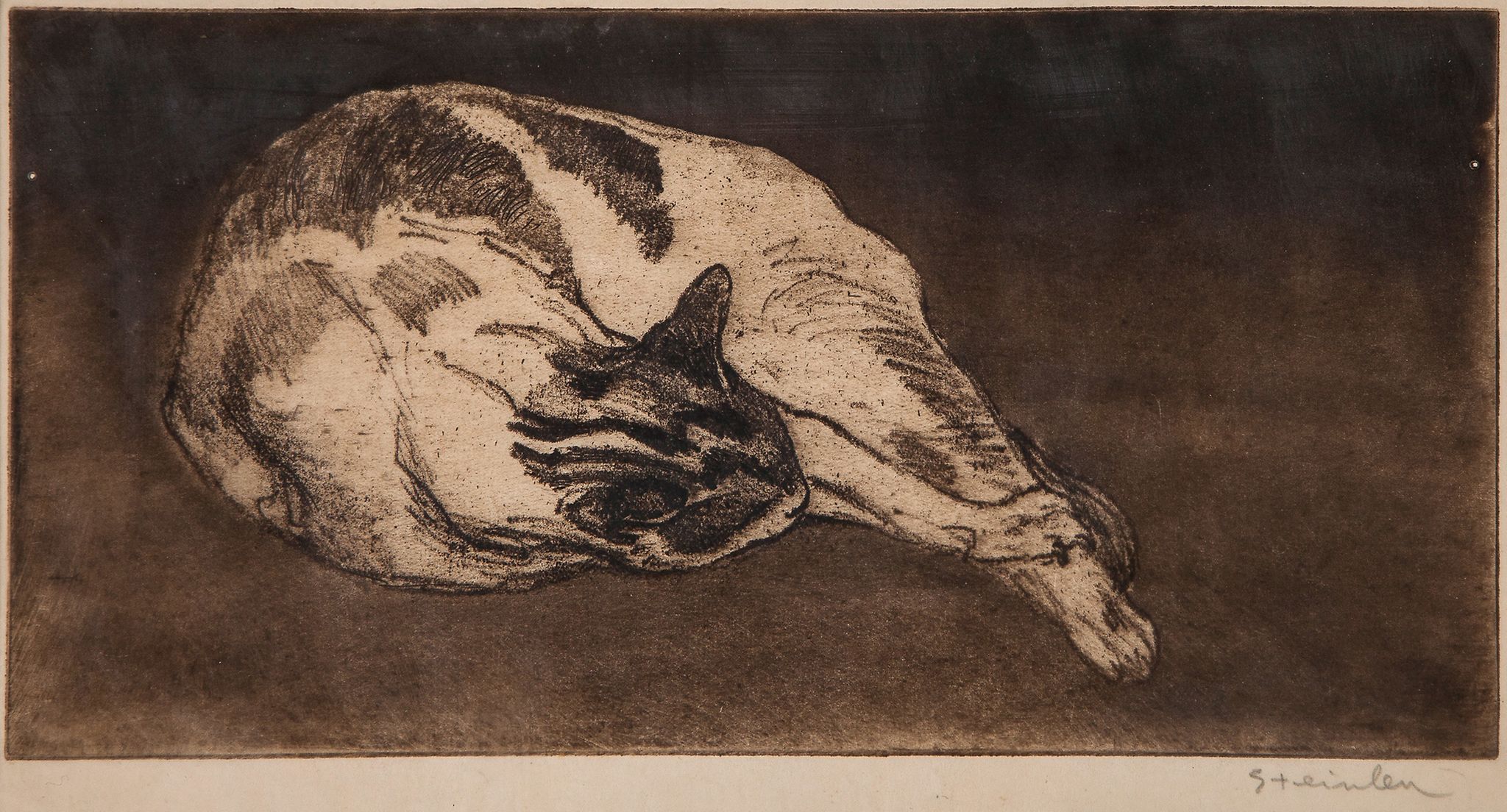 Steinlen (Théophile Alexandre, 1859-1923) - Chat couché   soft-ground etching and aquatint, on cream