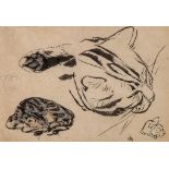 Chadel (Jules, 1870-1942) - Four studies of a cat   brush and black ink, graphite, grey wash, on