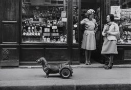 Robert Doisneau (1912-1994) - Le Chien à Roulettes, 1977  Gelatin silver print, printed ca.1990,