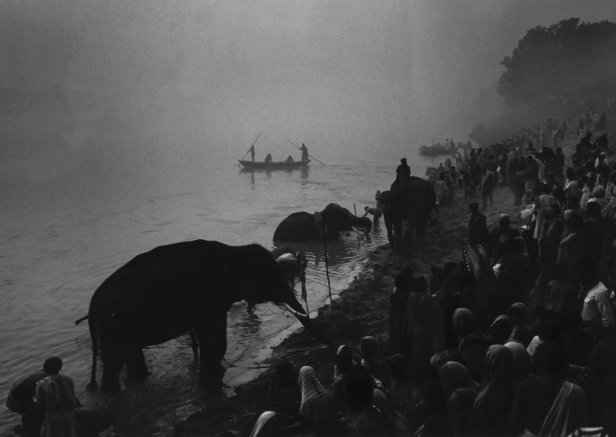 Don McCullin (b.1935) - The Elephant Festival, Sonepur Mela, India, 1978  Gelatin silver print on