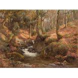 Ralph Bardill - Woodland waterfall,  Ralph Bardill Woodland Stream Watercolour on artboard Signed