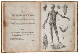 Innes (John) - Eight Anatomical Tables of the Human Body,  containing the principal parts of the