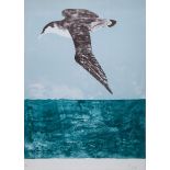 Elisabeth Frink (1930-1993) - The Shearwater lithograph printed in colours, 1974, signed and