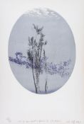 Colin Self (b.1941) - Out Of Focus Object and Flowers No 3 (The 1940s) etching with aquatint printed