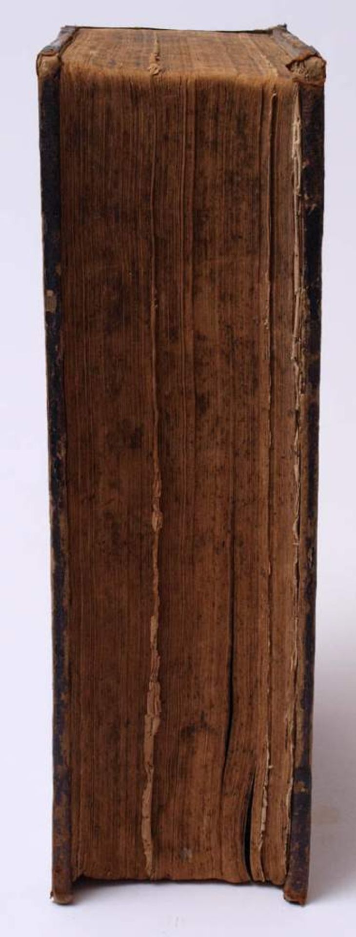 Bibel, Christian Lommer, Ulm 1671Zahlreiche Kupferstichillustrationen. Sekundär gebunden, - Bild 7 aus 31