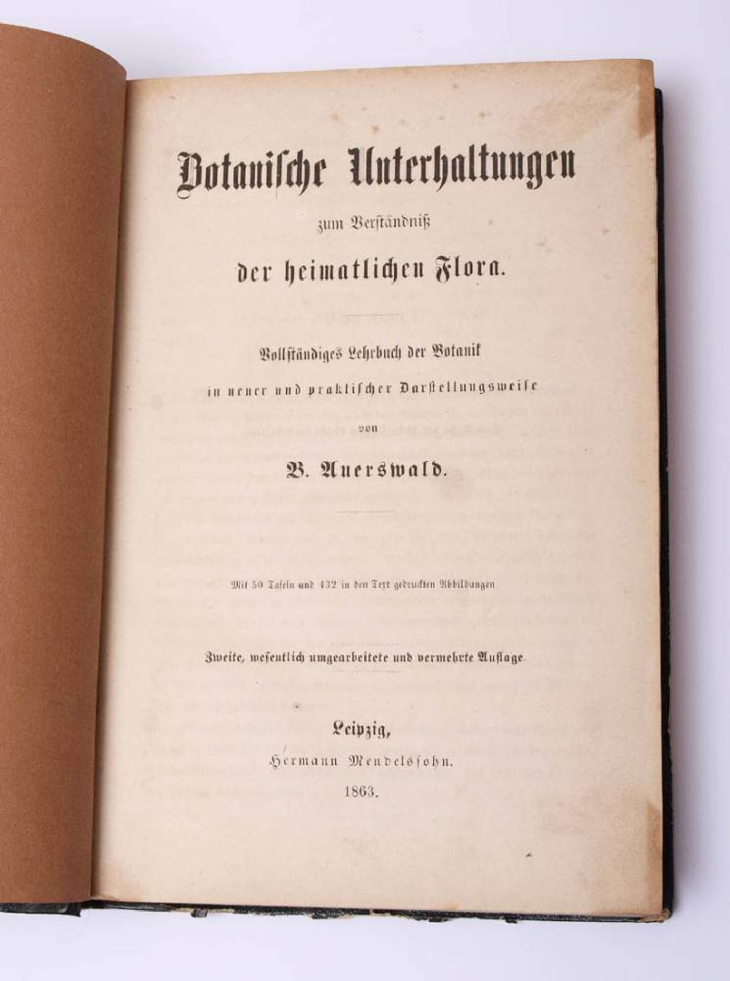 Auerswald, B.Botanische Unterhaltungen zum Verständniß der heimatlichen Flora, 2. Auflage, - Bild 2 aus 5