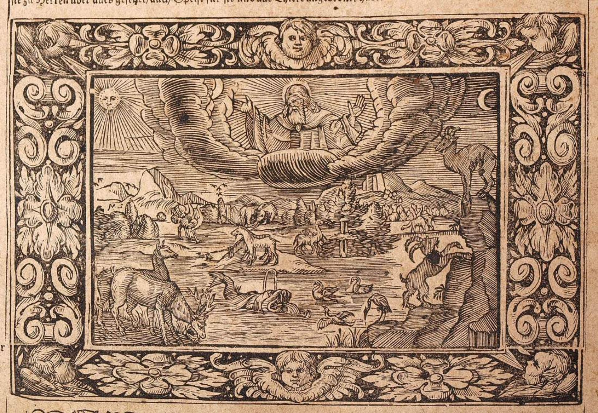 Bibel, Christian Lommer, Ulm 1671Zahlreiche Kupferstichillustrationen. Sekundär gebunden, - Bild 18 aus 31