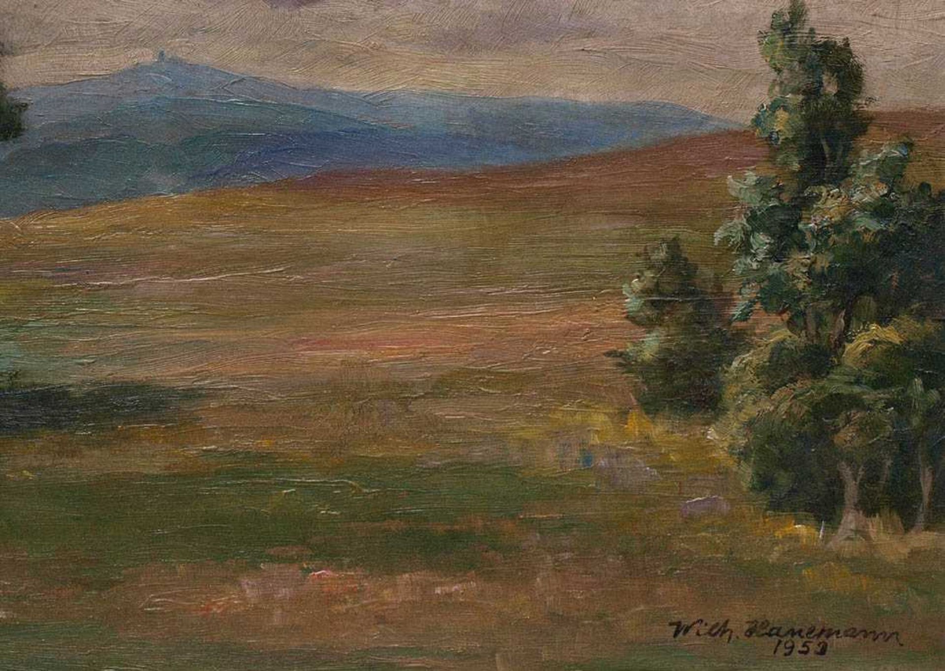 Hanemann, Wilhelm, 1880 - 1962Weite Schwarzwaldlandschaft, im Hintergrund der Feldberg. Öl/Kt., - Bild 4 aus 6