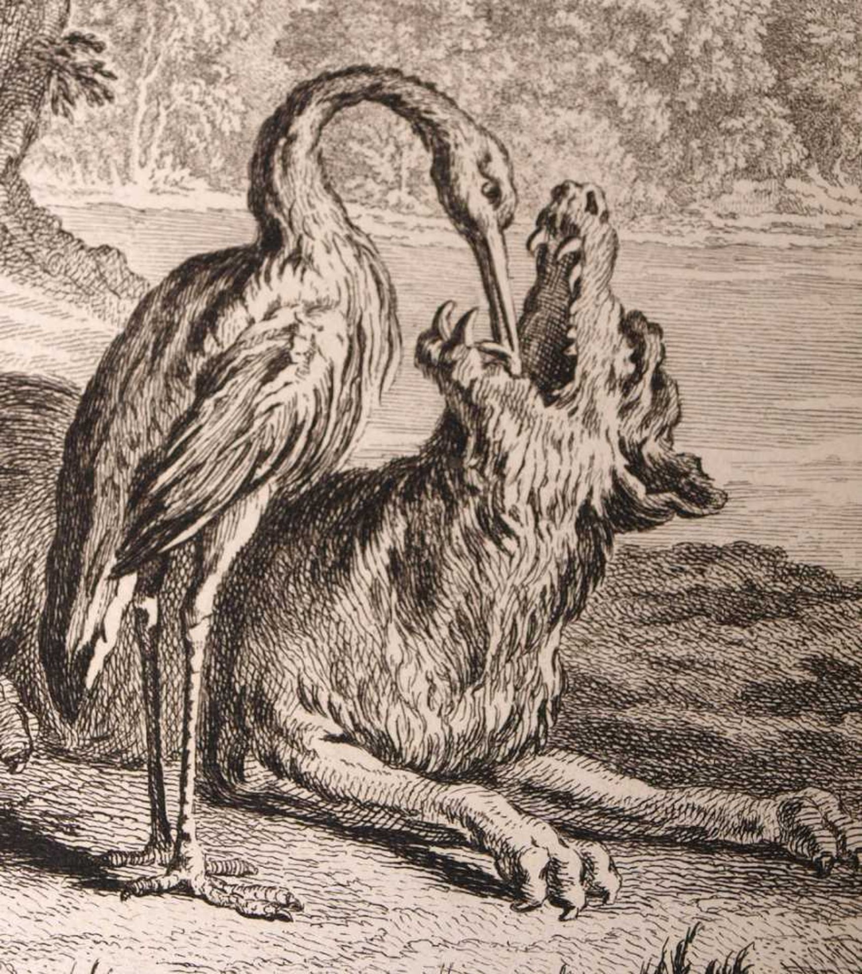 Kupferstich, 18./19.Jhdt.Illustration zur Fabel "Der Wolf und der Storch". Blattgröße 39x26,5cm. - Bild 2 aus 2