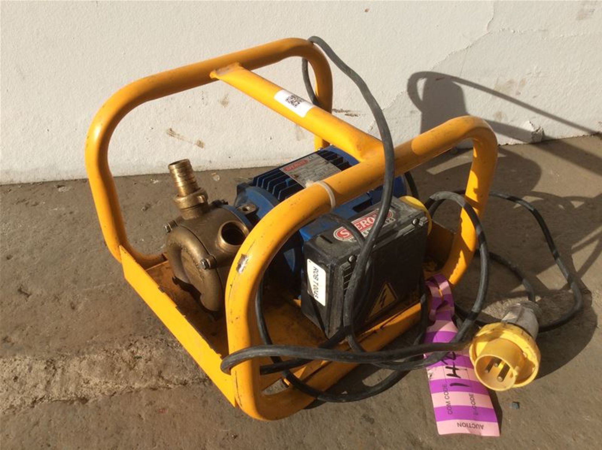 TRANSFER PUMP - 110V