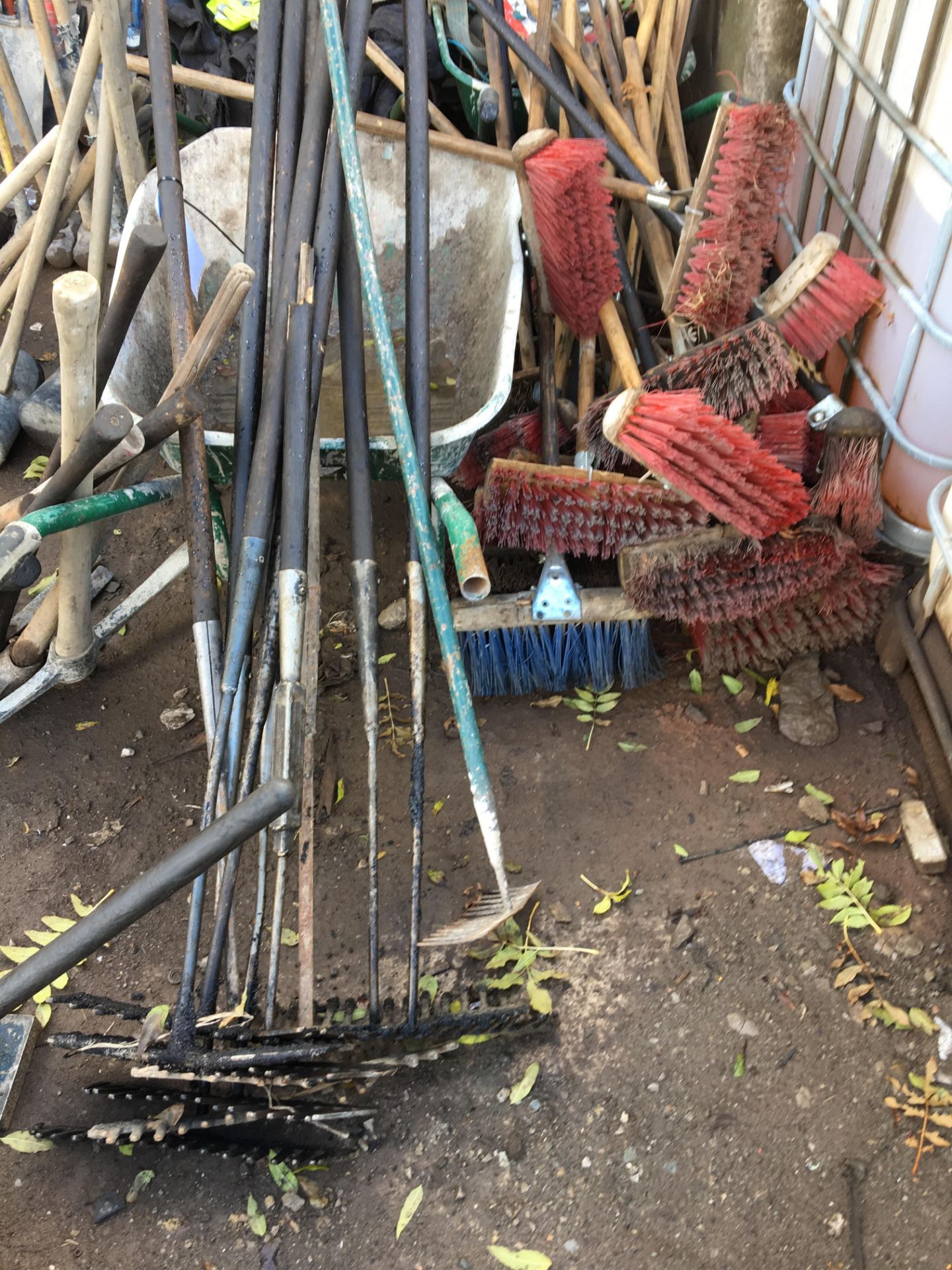 Quantity of rakes, brushes and 3 x wheel barrrows