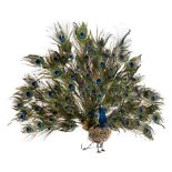 "Le Paon Marchant" (Walking Peacock) Automaton by Roullet et Decamps, c. 1910 With peacock feather