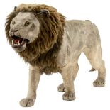 Rare Large Nodding Lion Automaton, c. 1910 With hide-covered papier-mâché body modeled in lifelike