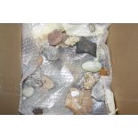A collection of mineral specimens, geological samples, small fossils etc