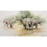 David Shepherd (British, b.1931)'Kilaguni babies;Limited edition print no. 897/1000Signed in