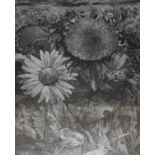 George Tute RE RWA (b.1933)'Sunflower Field'Artists proof Signed in pencil and dated 197142.5cm x