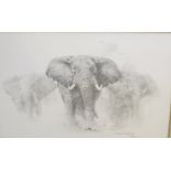 David Shepherd (British, b.1931)'Elephants'Limited edition print Signed in pencil and no. 538/