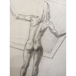 Gerald Benney (1930-2008)Standing nude holding a frameCharcoal studySigned in pencil lower right75.