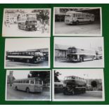 BUSES 2nd half 20th Century photographs regional examples to include Carruthers, Maybury's,