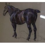 In the manner of Pieter BiegelStudy of a horsePencil and washUnsigned44.5cm x 57cm