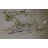 Attributed to John Macallan Swan RA (1847-1910)Leopard with killWatercolourSigned13.5cm x 25.5cm;