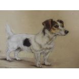 Marjorie Cox (1915-2003)''Arthur' Pastel studySigned and dated 1960