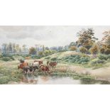 John Macpherson ( -1884)Cattle watering at pondWatercolourSigned lower left26cm x 48cm