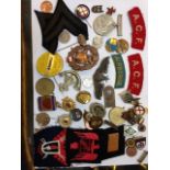 [Militaria] A Collection of Metal and Cloth Military Insignia Second World War & later, including