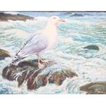 Spencer Roberts (British 1920 - 1997)'Wary Gull'Oil on boardSigned and dated 196348cm x 61cm