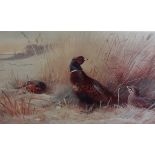 Arichald Thorburn (1860-1935) Winter landscape with pheasantsColour printSigned in pencil to the