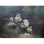 A mixed lot of pictures and prints to include a still life with nest and eggs, two oils by Donald