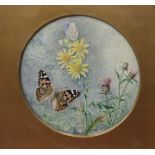 J W FrohawkStudy of butterflies WatercolourSignedCircular15cm in diameter