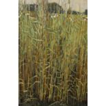 Peter Leonard Folkes (b 1923) 'Cattle through the reeds'Oil on board60cm x 44cm