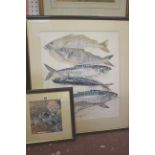 Three watercolour studies of fish signed Joe Levington and a watercolour of pebbles