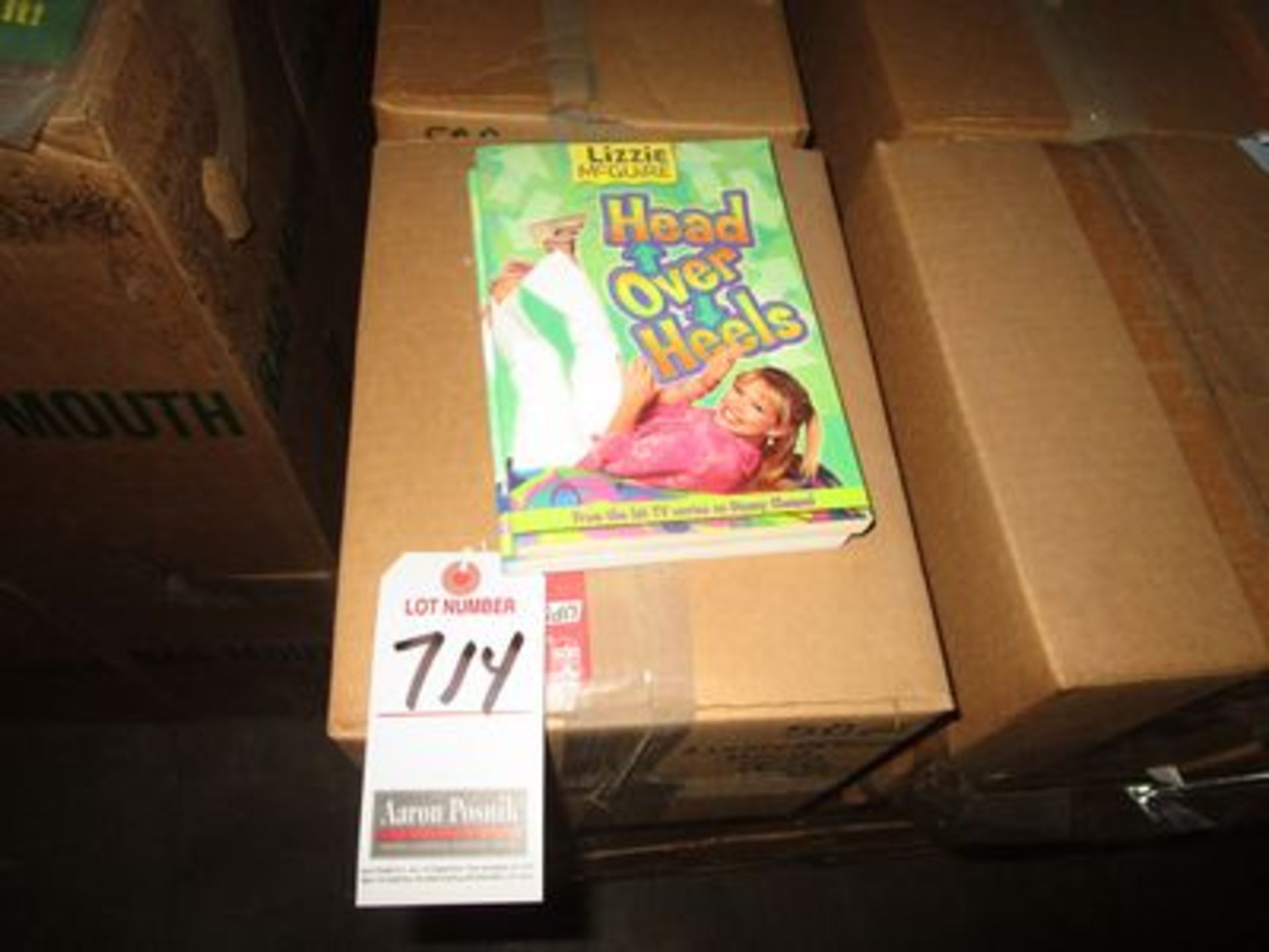 LIZZIE MCGUIRE "HEAD OVER HEELS" BOOKS