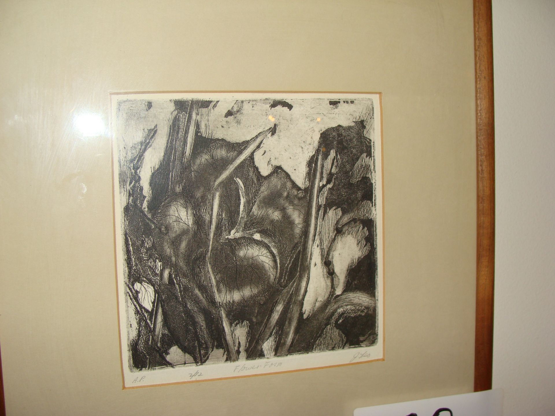 Framed Etching "Flower Form" 2/82 AP signed J Les 6x6in.