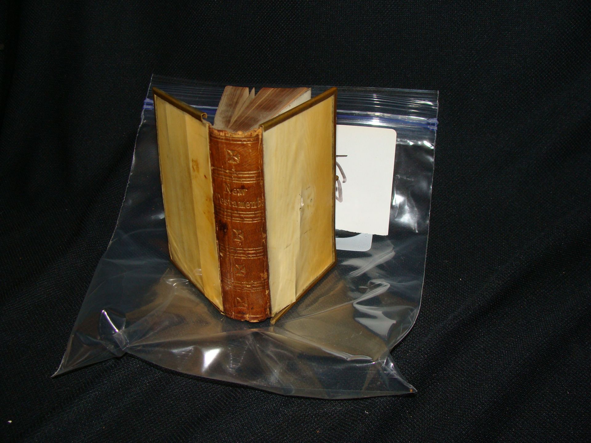 Scrimshaw Bible