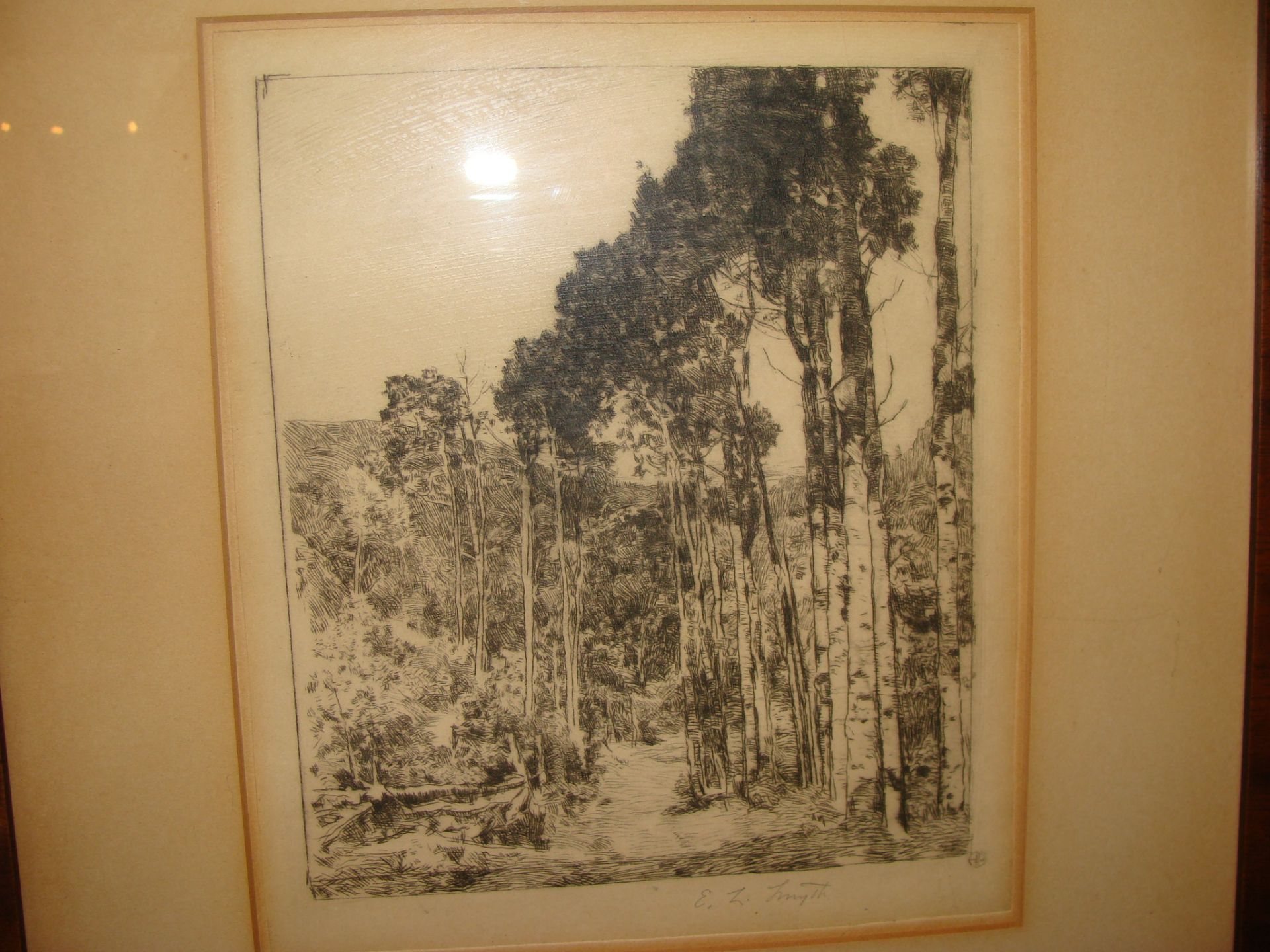 Framed Etching of Wooded Landscape Signed Indistinctly