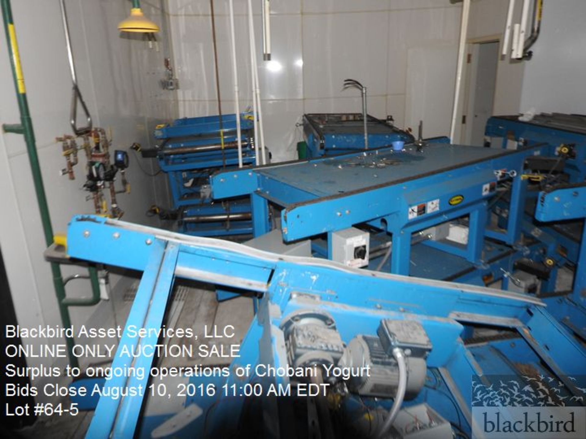 Lot Hytrol chill tunnel pallet conveyor sections, (12) sections, dual chain, some parts missing - Image 6 of 8