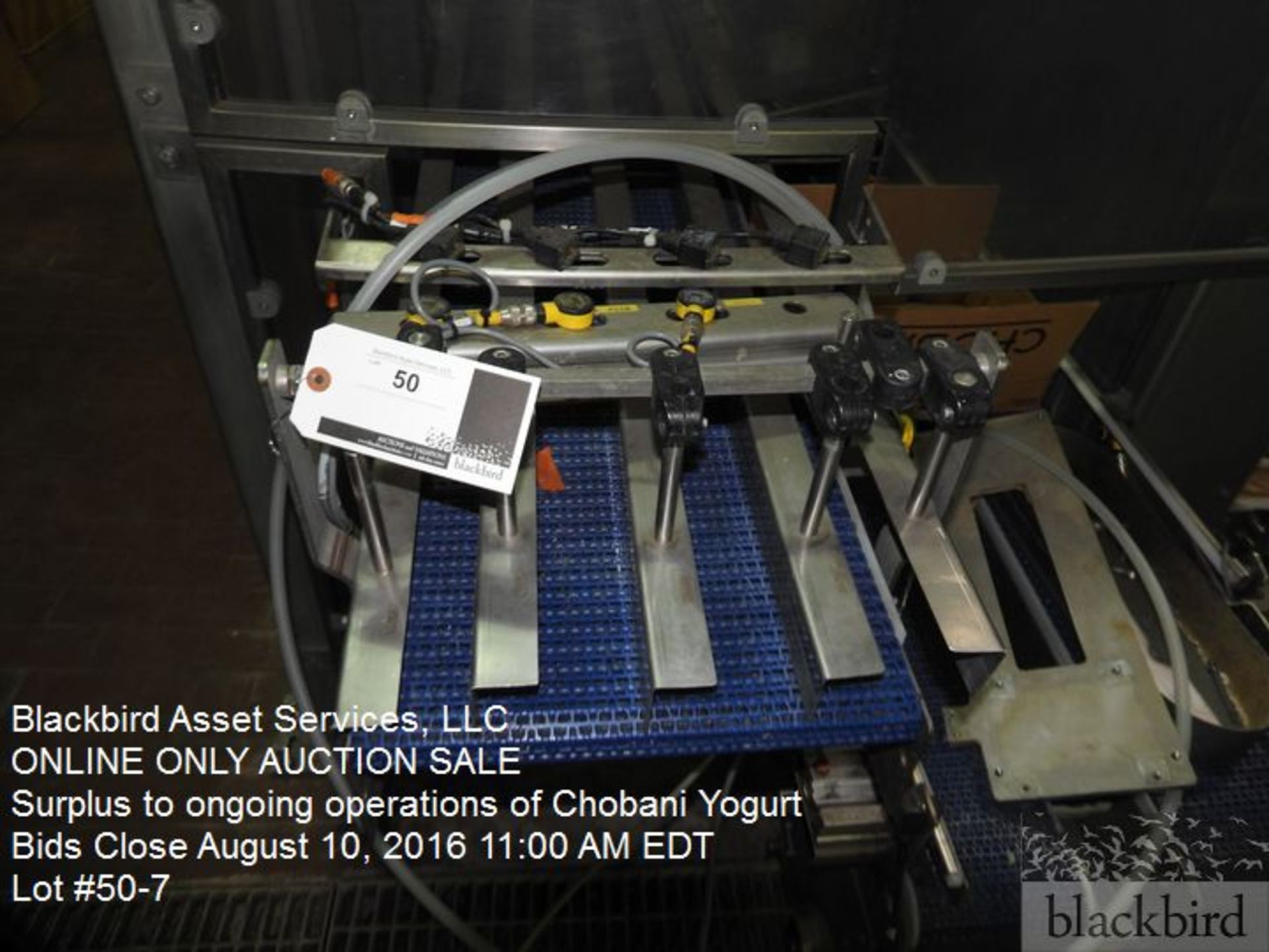 Pearson case packer, model GTLU, s/n 2010GTLU12237, (2) 6" Intralox carton conveyors, pick and pla - Image 8 of 10