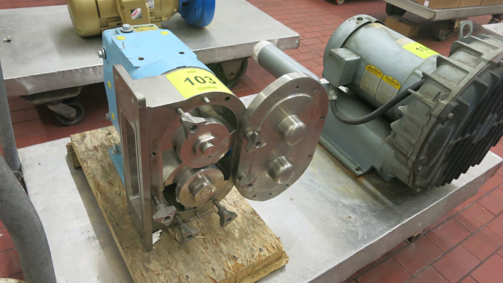 Waukesha positive rotary pump, model 134, s/n 282282-01, no drive motor