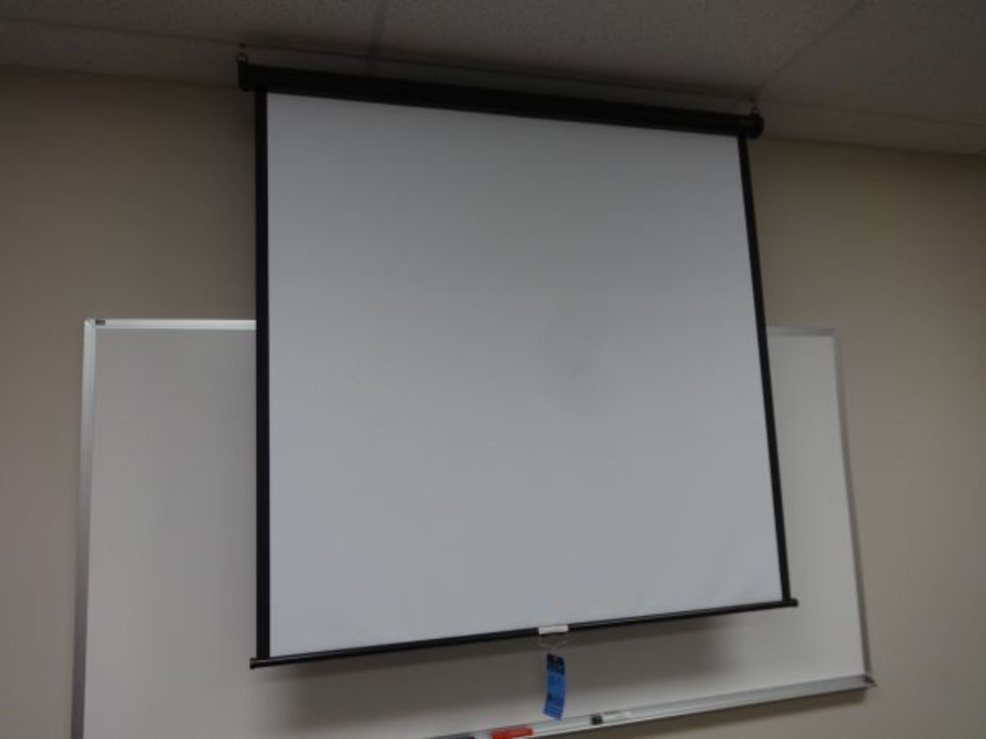 57" WIDE QUARTET PROJECTOR SCREEN